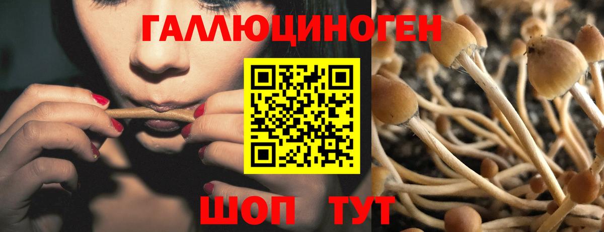 Галлюциногенные грибы прущие грибы Звенигород