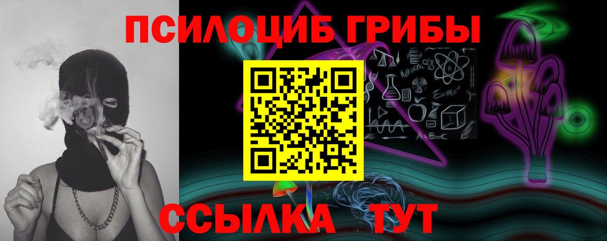 Галлюциногенные грибы прущие грибы  Вход с VPN  Звенигород 